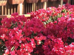 -深圳海景嘉途酒店(东翼楼)