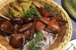 -京食源烧鸽子