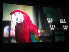 -飞扬影城(正佳IMAX店)