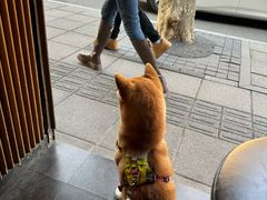 -RUMORS COFFEE ROASTERY鲁马滋咖啡(湖南路店)