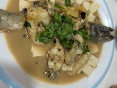 -煲来饱去冷水鱼