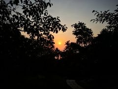 -放鸡岛生态旅游国际度假区
