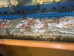 -鹿客臻鲜海鲜自助餐厅(永旺店)