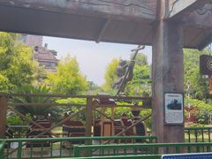 -南湖梦幻岛