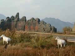 -敕勒川草原文化旅游区