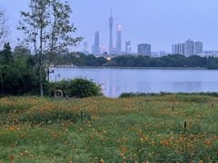 -海珠湖公园