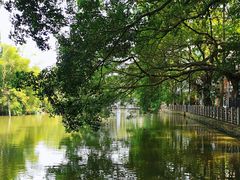 -小洲村