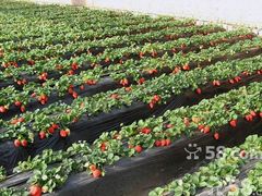 -心乐生活新鲜屋(星海广场店)