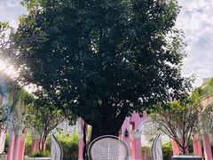 -富国岛翡翠湾 JW 万豪度假酒店
