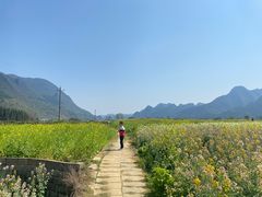-万峰林风景区