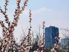 -太阳宫公园