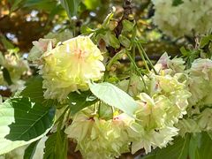 -江南大学(蠡湖校区)