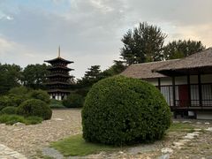 -北京世界公园