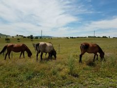 景点-塞罕坝国家级自然保护区