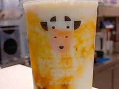 -一只酸奶牛(八一路店)