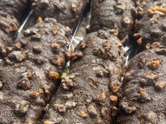 -食悦天美食广场(长沙IFS国金中心店)