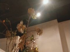 -春天来了(印象新天地店)