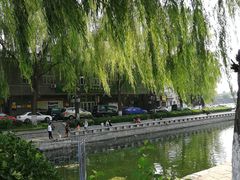 -后海公园