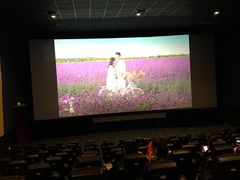 -AMG海上明珠影城(上海环球港RealDCinema店)