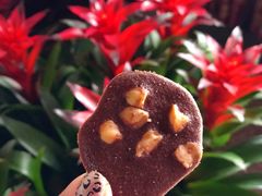 夏威夷果仁巧克力脆片-香港珍妮曲奇聪明小熊饼干(迪美购物中心店)