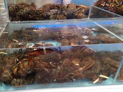 -同庆楼(滨湖万达广场店)