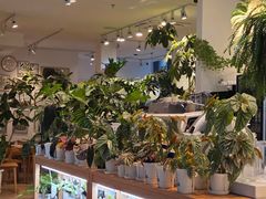 -1861意大利餐厅(文化广场店)