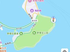 -野狸岛