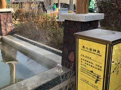 -大连金石滩绿发温泉假日酒店