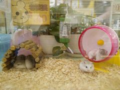 -龙猫仔乐园(惠福东路店)