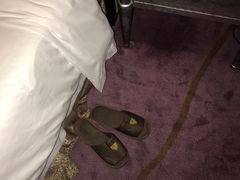 -广州克莱顿酒店