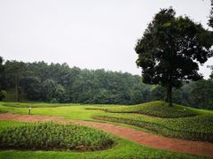 -保利石象湖景区