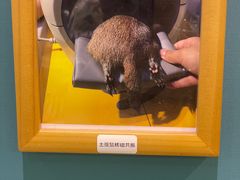 -雨林宠物医院 非犬猫异宠专科