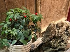 -关中道陕味艺术餐厅(西岳庙店)