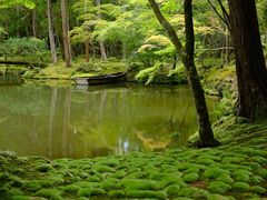 -西芳寺(苔寺)