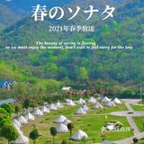 武汉周边游🤩一起去露营⛺️住帐篷看篝火星空烟花