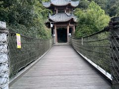 -铁山坪森林公园