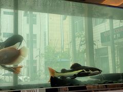 -衡山汇·高级粤菜(霄云路店)