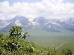 -新疆那拉提国家旅游度假区