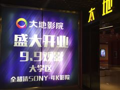 -大地影院(南宁东凯国际店)