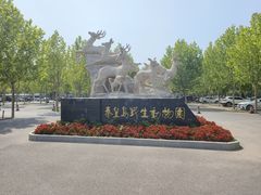 -秦皇岛野生动物园