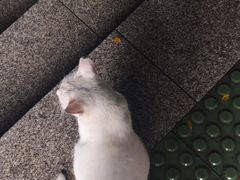 -海珠湖公园