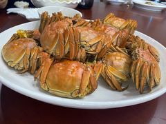 -泗洪洪泽湖湿地景区