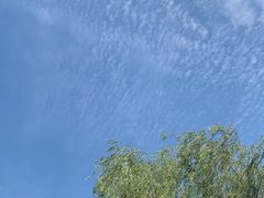 -上海鲜花港