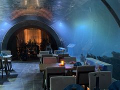 -海棠湾洲际-涛·海底餐厅·美人鱼·自助餐·海底隧道