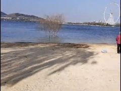 -济南国际园博园