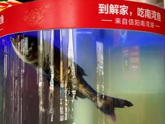 -解家河南菜(商鼎路店)