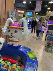 -卡通尼·Safari非洲探索乐园·生日会(金桥国际商业广场店)