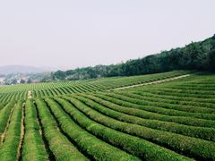 -雅达·阳羡溪山小镇中心