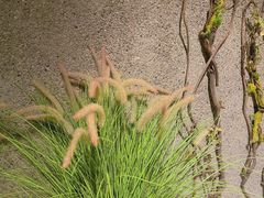 -园里火锅(仁和新城店)