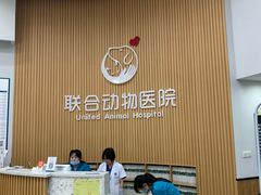 -联合动物医院(光谷诊疗中心)